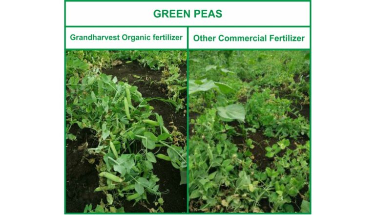 Organic fertilizer differences 10