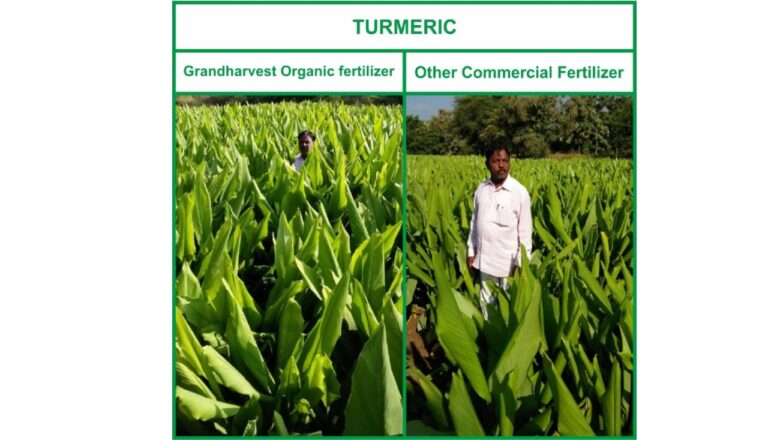 Organic fertilizer differences 4