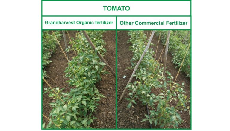 Organic fertilizer differences 8