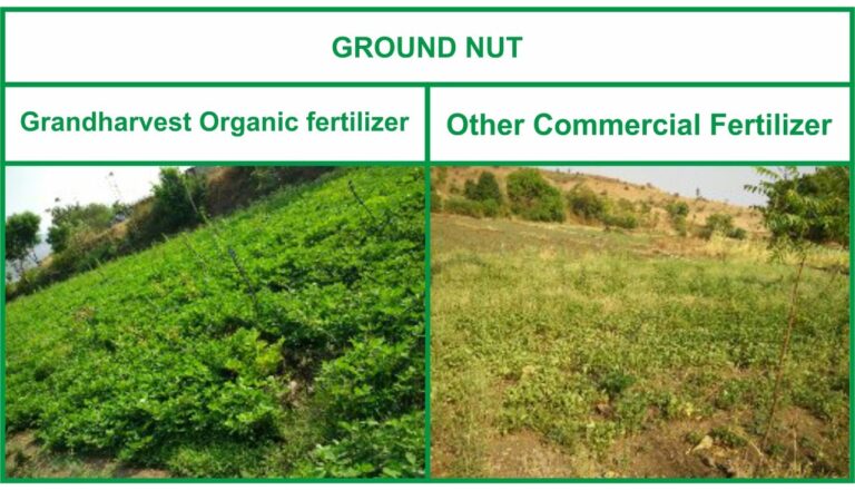 Organic fertilizer differences 9